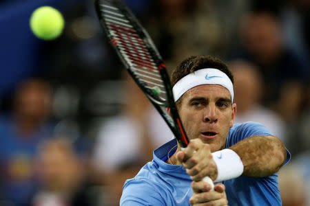 Tennis - Croatia v Argentina - Davis Cup Final - Arena Zagreb, Croatia - 25/11/16 Argentina's Juan Martin del Potro in action during his match against Croatia's Ivo Karlovic. REUTERS/Marko Djurica