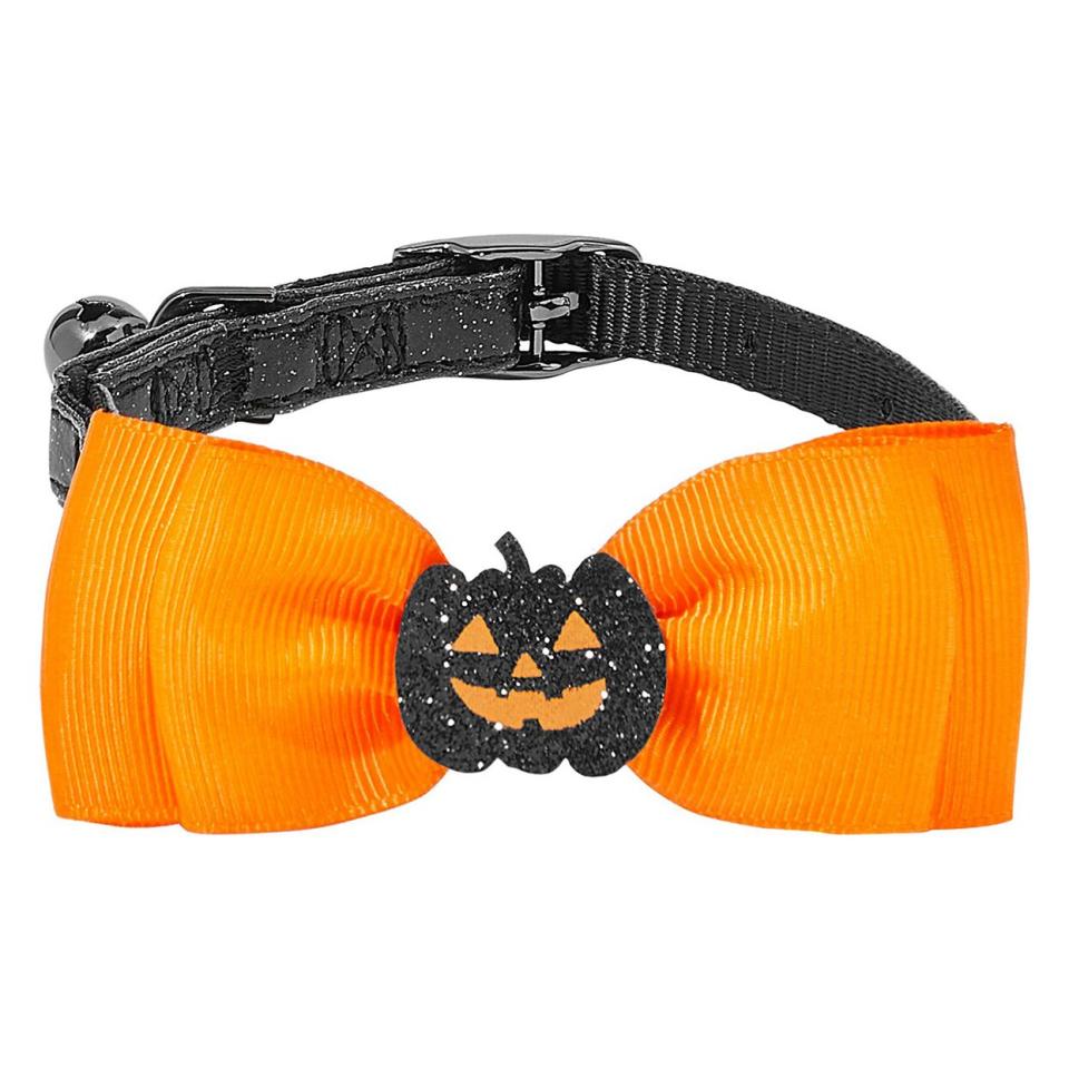 Frisco Black Glitter Cat collar with Pumpkin Bow on a white background