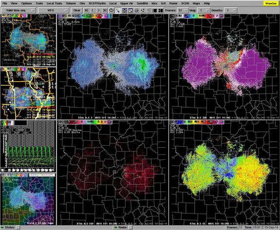 A butterfly swarm that resembles a butterfly on weather radar.