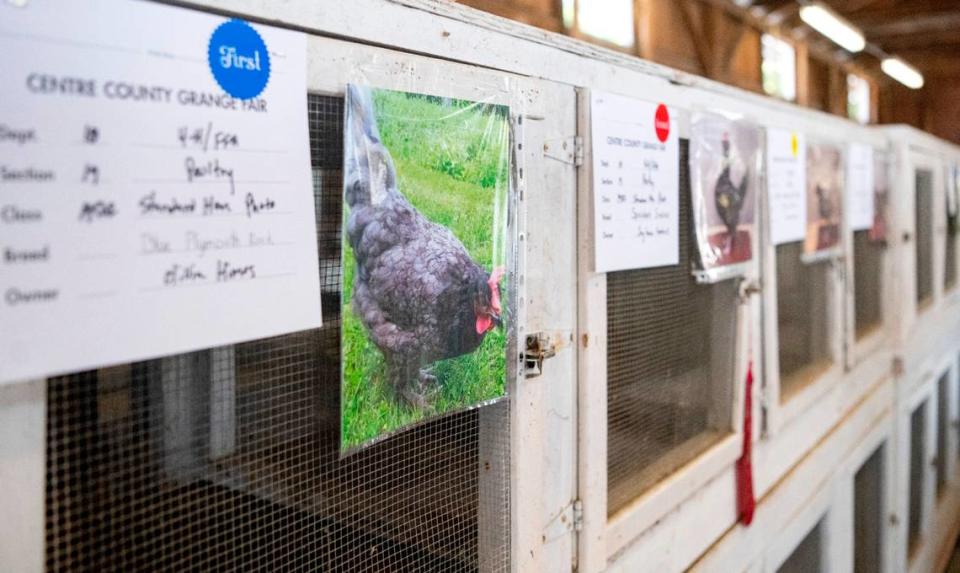 Pictures of chickens hang on their pens where they should be displayed at the Centre County Grange Encampment and Fair on Friday, Aug. 18, 2023.  Because of the Avian Flu, the chickens were not on the grounds but several contests and actives were held for the youth who raise chickens. 