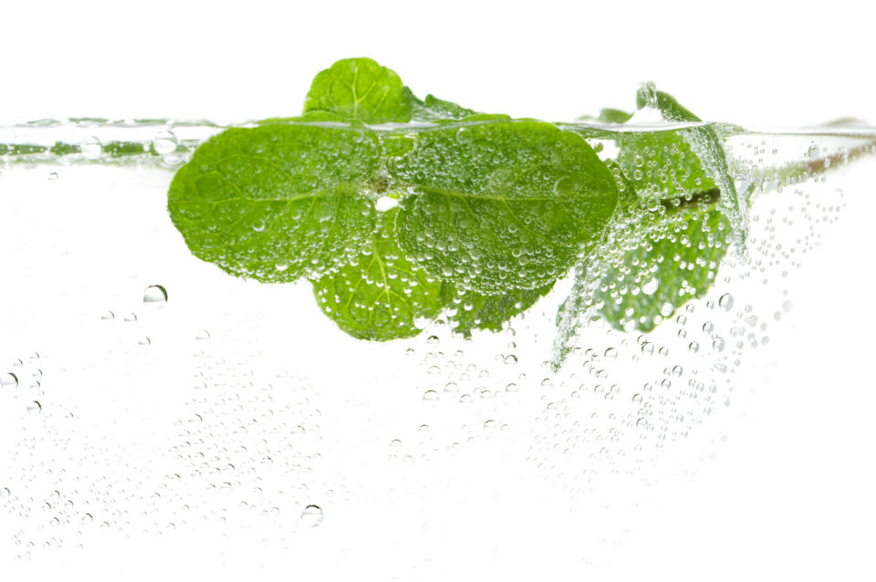 mint in water for a natural hair rinse