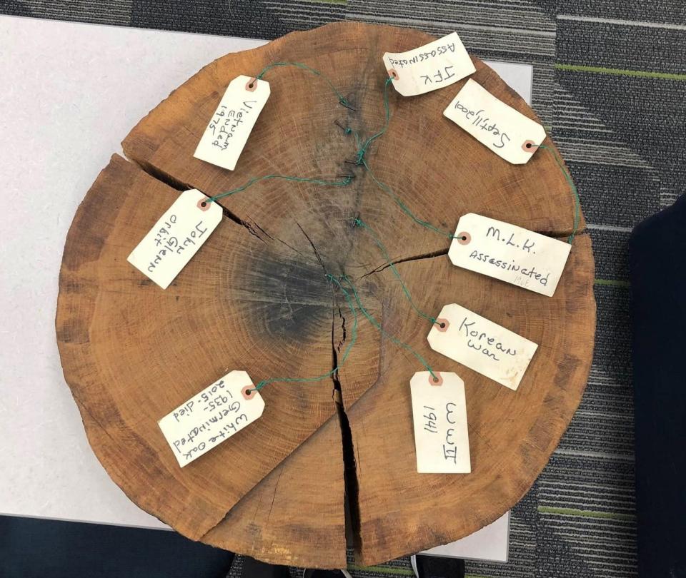 An exhibit on display during Dominion Energy's Project Plant It! program hosted by VSU at Randolph Farm in Ettrick on May 3, 2022. Dendrochronology is the scientific method of dating tree rings to the exact year they were formed.