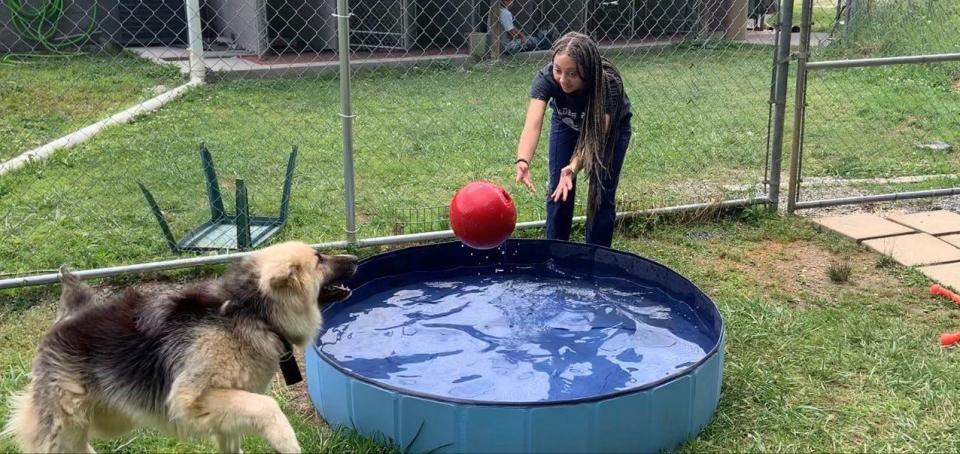 Nevaeh Rice plays with "Bear," at the Madison County Animal Services shelter, located at 389 Long Branch Road in Marshall.