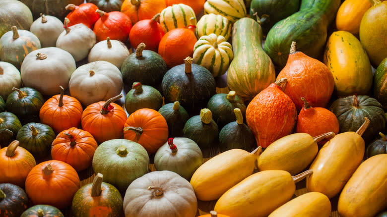 Small winter squashes