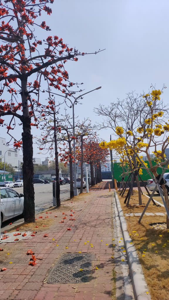 審計處審查，台南仍有超過六成道路未設人行道，對行人不夠友善。圖為市議會旁景致優美的人行道空間。（記者林雪娟攝）