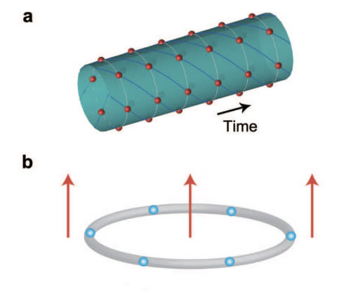 This proposed space-time crystal shows (a) periodic structures in both space and time with (b) ultracold ions rotating in one direction even at the lowest energy state.