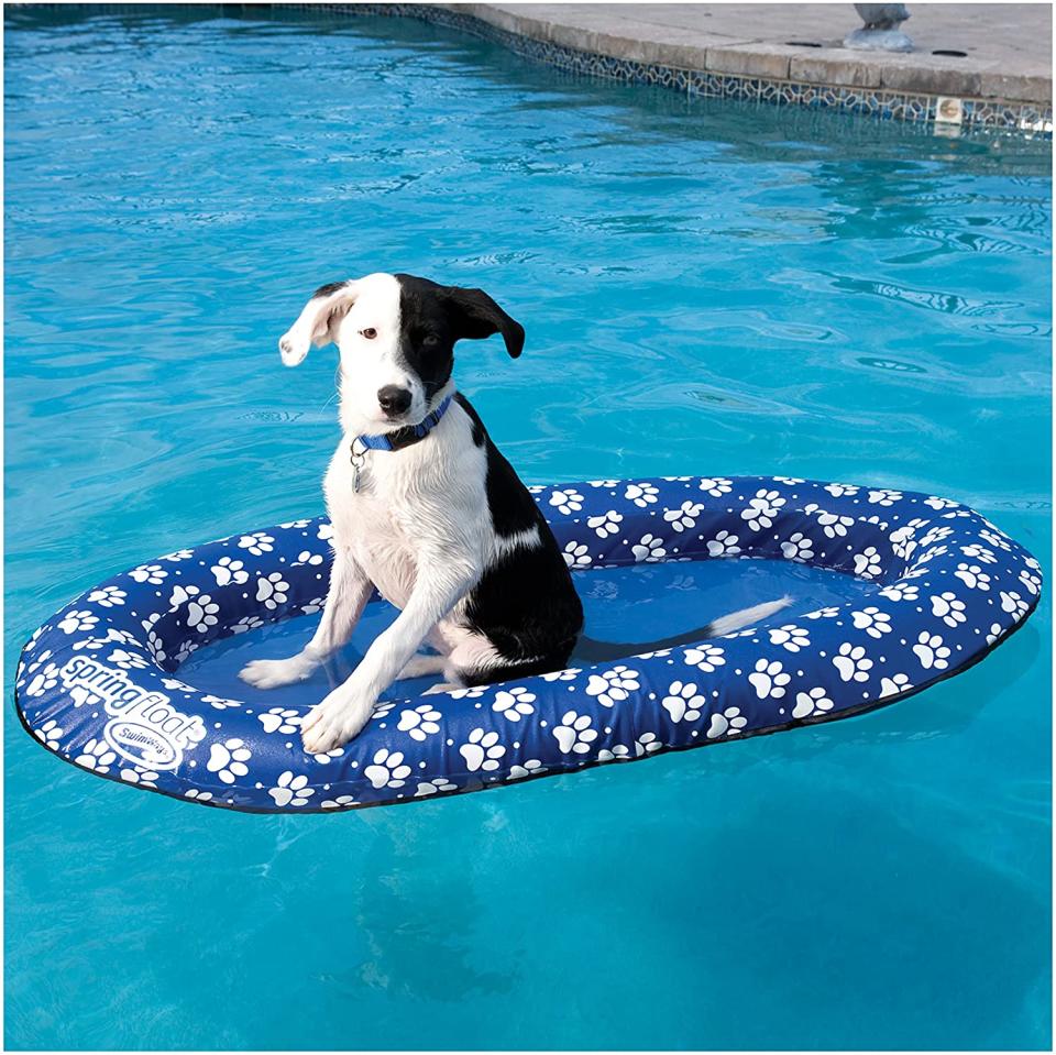 Paddle Paws Dog Pool Float