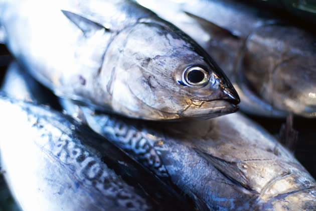 Meerestiere wie der Thunfisch können extrem giftiges Quecksilber enthalten (Bild: thinkstock)