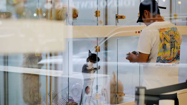 PHOTO: A man feeds a puppy in a pet shop on July 24, 2022 in New York, July 24, 2022. (View Press/Corbis via Getty Images)