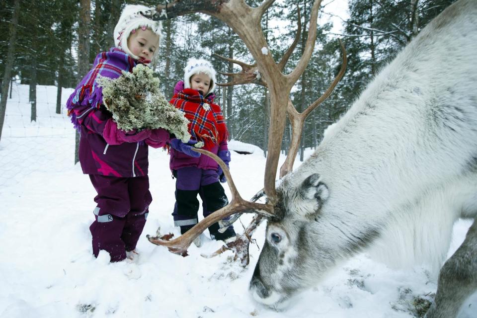 In this photo taken on Thursday, Feb. 2, 2017, Sami children, Karen Seline Eira and Inga Helene Anti Persen feed the reindeer at the reindeer kindergarten in Karasjok, Norway. The indigenous people of Europe's Arctic region are celebrating the centenary of their national day this week with some 120 events planned in Norway. Monday’s start to weeklong festivities marks the centenary of the Sami people’s first congress in Trondheim, Norway, in 1917. Seventy-five years later, the Sami declared Feb. 6 their national day.( Heiko Junge /NTB Scanpix via AP)