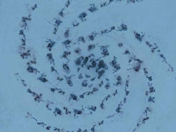 Game of Thrones theories: Night King symbol in season 8 might unlock clue to his real identity