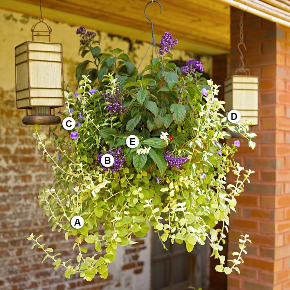 Use these easy plant-by-numbers recipes to put together the most beautiful hanging baskets in your neighborhood.