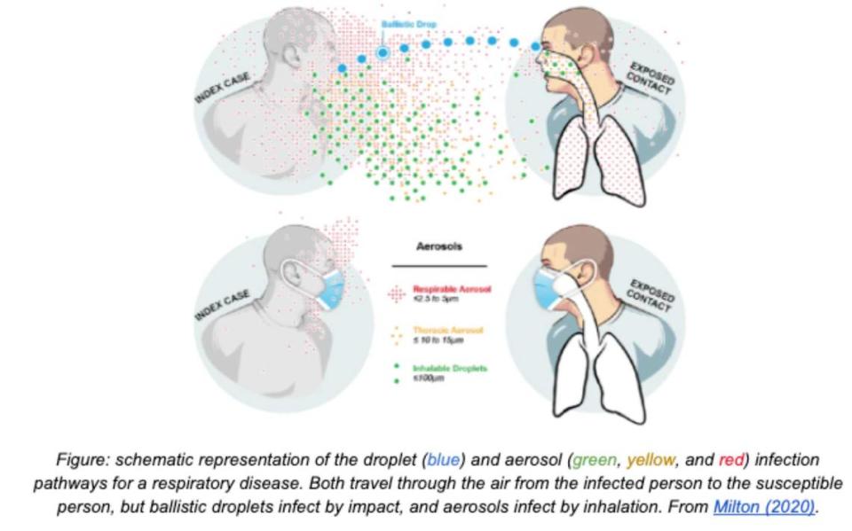 Illustration shows how large respiratory droplets and microscopic aerosols from the mouth of an unmasked coronavirus carrier can hit the face or be inhaled by an unmasked person involved in the conversation. The louder you talk or yell, the more aerosols you spread, increasing risk of transmission, scientists have found