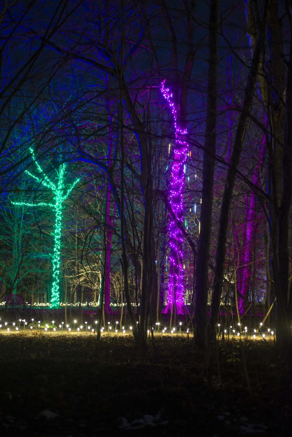 'Light in the Forest' Cincinnati Nature Center sparkles with gentle lights reflecting a theme of tranquility, peace and inspiration. Throughout the tour you will enjoy music, bonfires, holiday shopping and historic Kippendorf Lodge and Abner Hollow cabin.