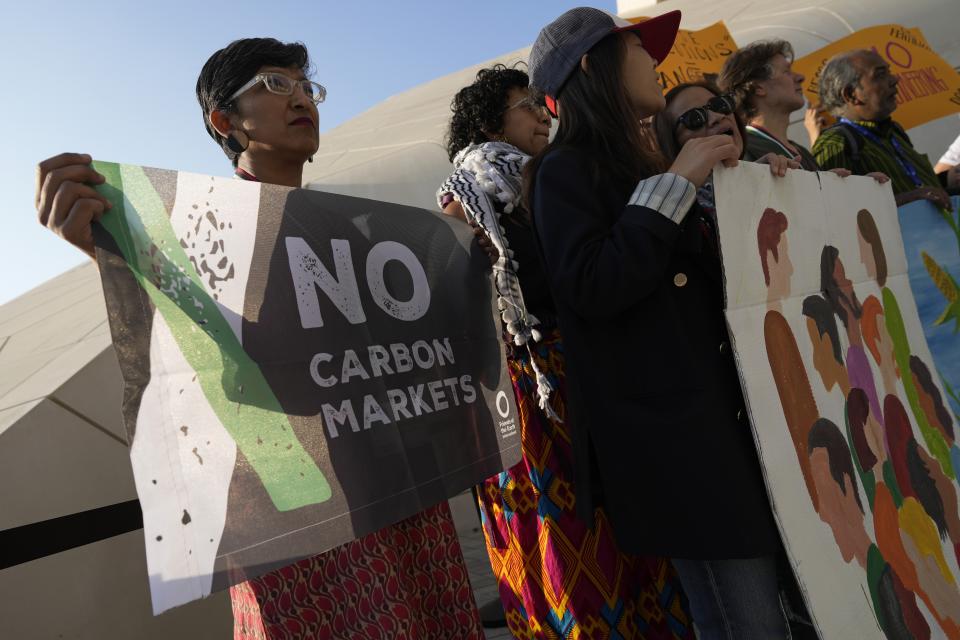 FILE - A demonstrator holds a sign that reads no carbon markets at the COP28 U.N. Climate Summit, Dec. 8, 2023, in Dubai, United Arab Emirates. (AP Photo/Peter Dejong, File)