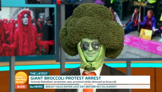 Mr Broccoli was a guest on Good Morning Britain (Credit: ITV)