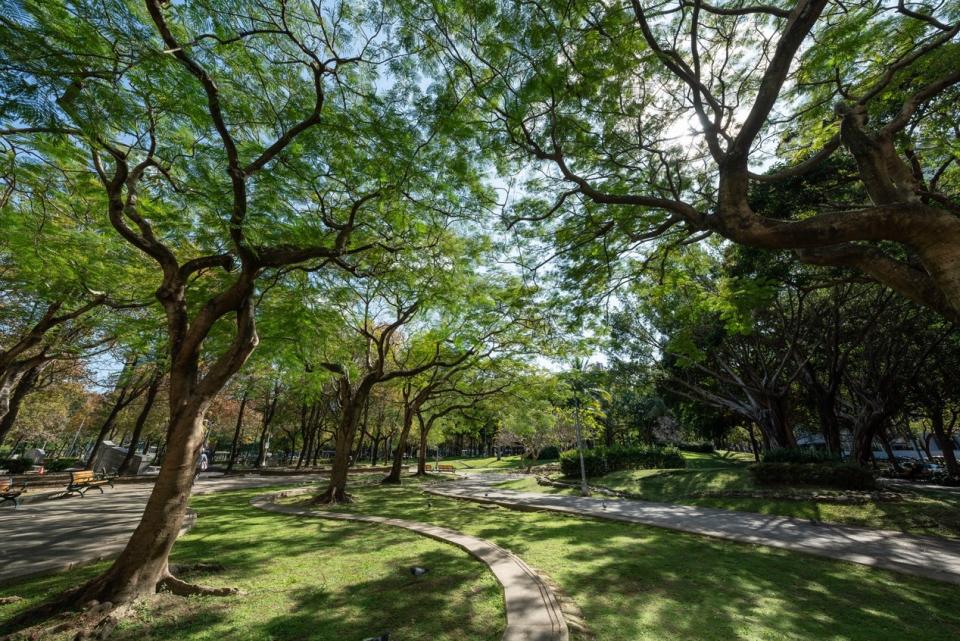 ▲「璞園 森仰」正對萬坪綠意公園，享有三面臨靜巷的優勢。圖為康樂公園（圖／業者提供）