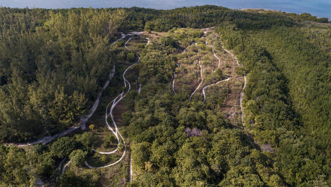 Mountain bike trails criss-cross the north dune at Virginia Key which rises up to 50 feet above sea level.