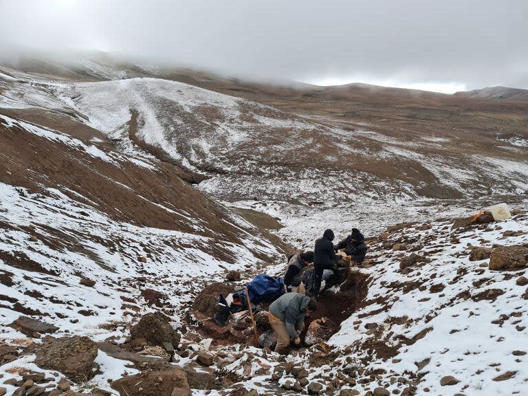 Los paleontólogos en plena tarea de excavación en El Calafate