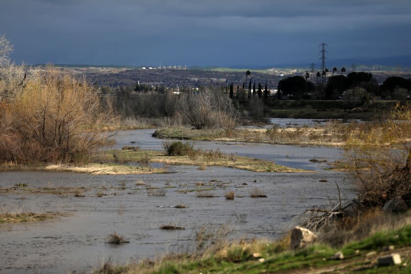 BAKERSFIELD, CA - JANUARY 16: Water flows in the Kern River seen from Rosedale HWY at Beach Park after recent rain storms on Monday, Jan. 16, 2023 in Bakersfield, CA. California bracing for one final round of atmospheric river storms as officials assess damage. (Gary Coronado / Los Angeles Times)