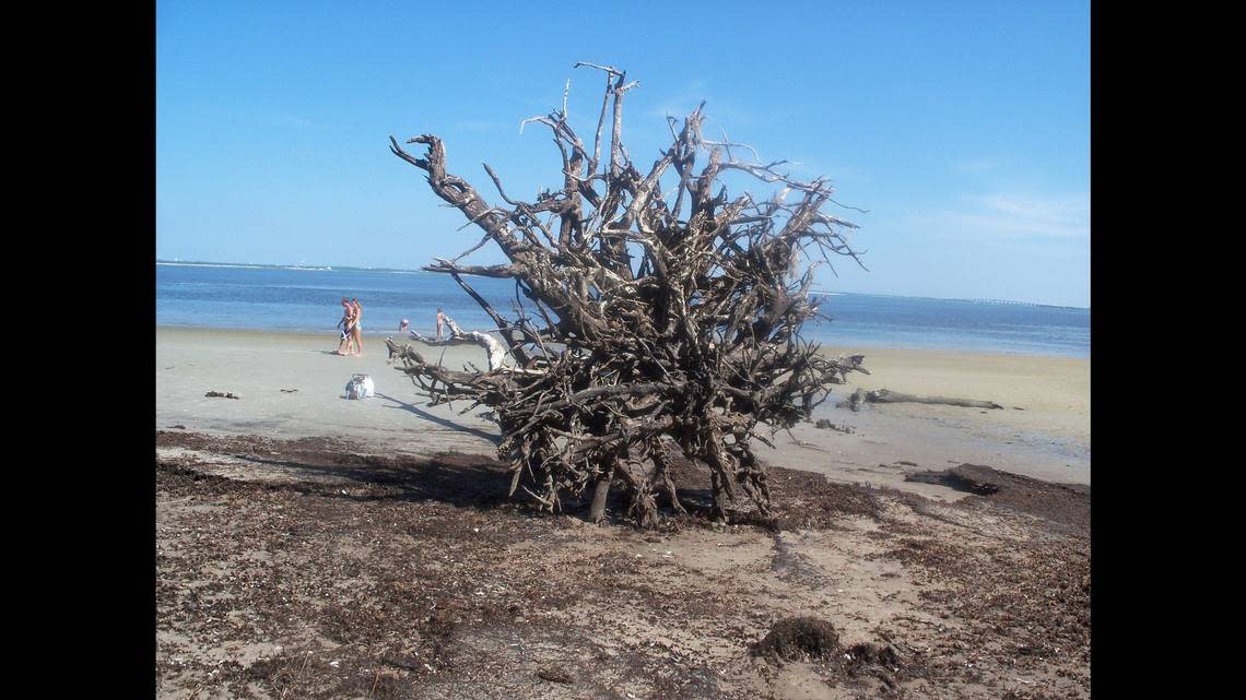 Driftwood Beach earned recognition for a second year in a row. Photo provided by Lea Garbett