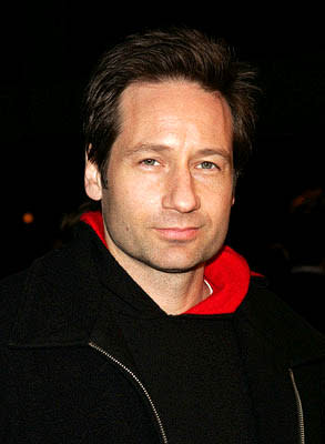 David Duchovny at the NY premiere of Lions Gate's Beyond the Sea