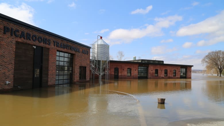 Fredericton brewers hustle post-flood to meet warm weather demand