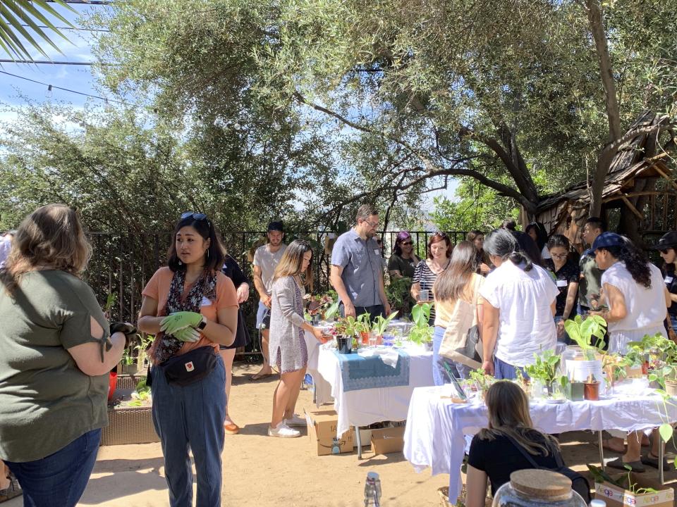 This undated photo, provided by Ana Carlson, shows a recent Los Angeles plant swap, which have become a popular way for armature horticulturists to meet like-minded people while exchanging growing advice. They also trade expensive and rare plants. (Ana Carlson/Sill Appeal via AP)