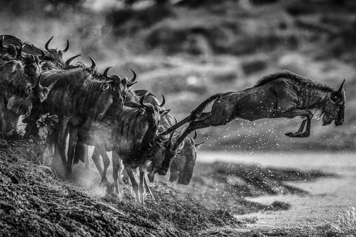 David Yarrow