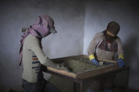 A 29-year old women (R) and her 13-year-old relative (who asked to withhold their names) work sifting cannabis inside a garage in the Bekaa valley, Lebanon November 1, 2015. REUTERS/Alia Haju