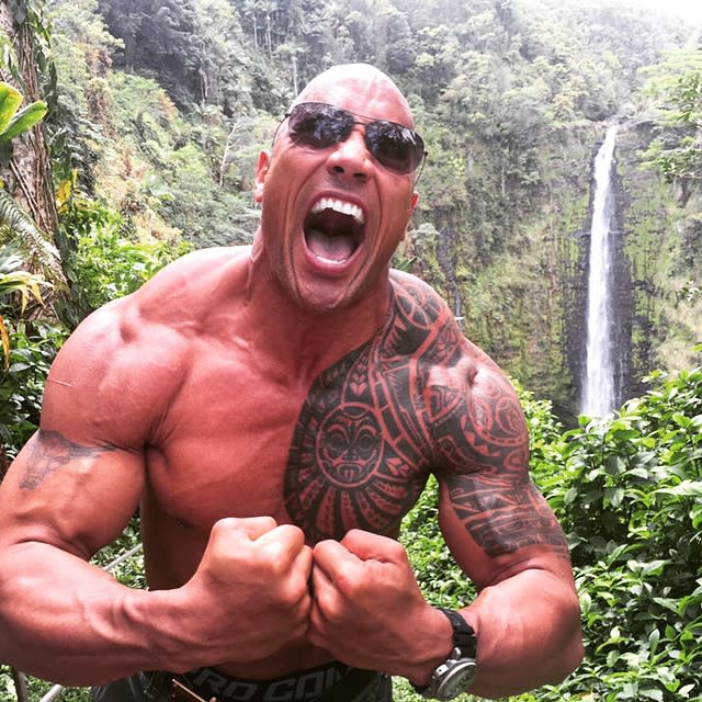 8 Eyebrow-Raising Facts about Dwayne The Rock Johnson - Muscle