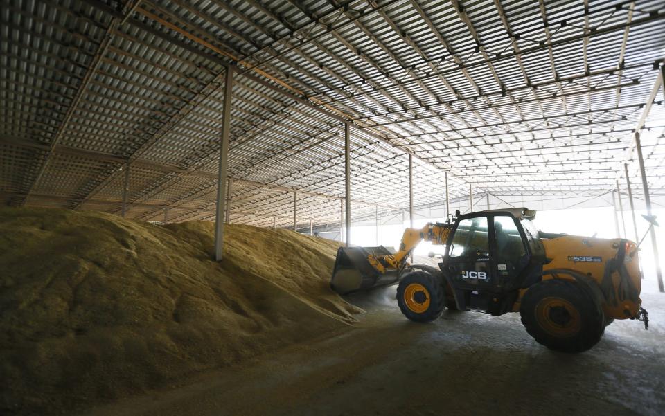 Farmers deal with agricultural work in the Odessa region, Ukraine - Vladimir Shtanko/Anadolu Agency via Getty Images