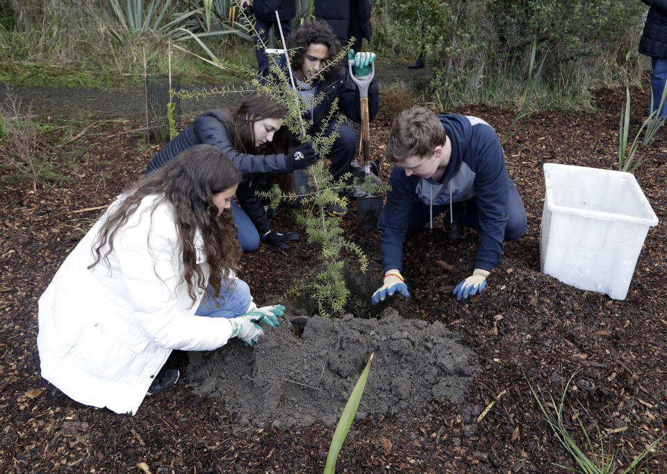 Students from the Marjory Stoneman Douglas High School in Parkland, Florida, plant trees at Halswell Quarry Park Conservation Area on the outskirts of Christchurch, New Zealand, Tuesday, July 24, 2018. The 28 students who survived the Feb. 14, 2018, mass-shooting at the Florida school are visiting New Zealand to learn more about sustaining youth movements. After planting the native totara trees on Tuesday, they recounted memories of their former classmates and teachers in a ceremony that brought many to tears. (AP Photo/Mark Baker)