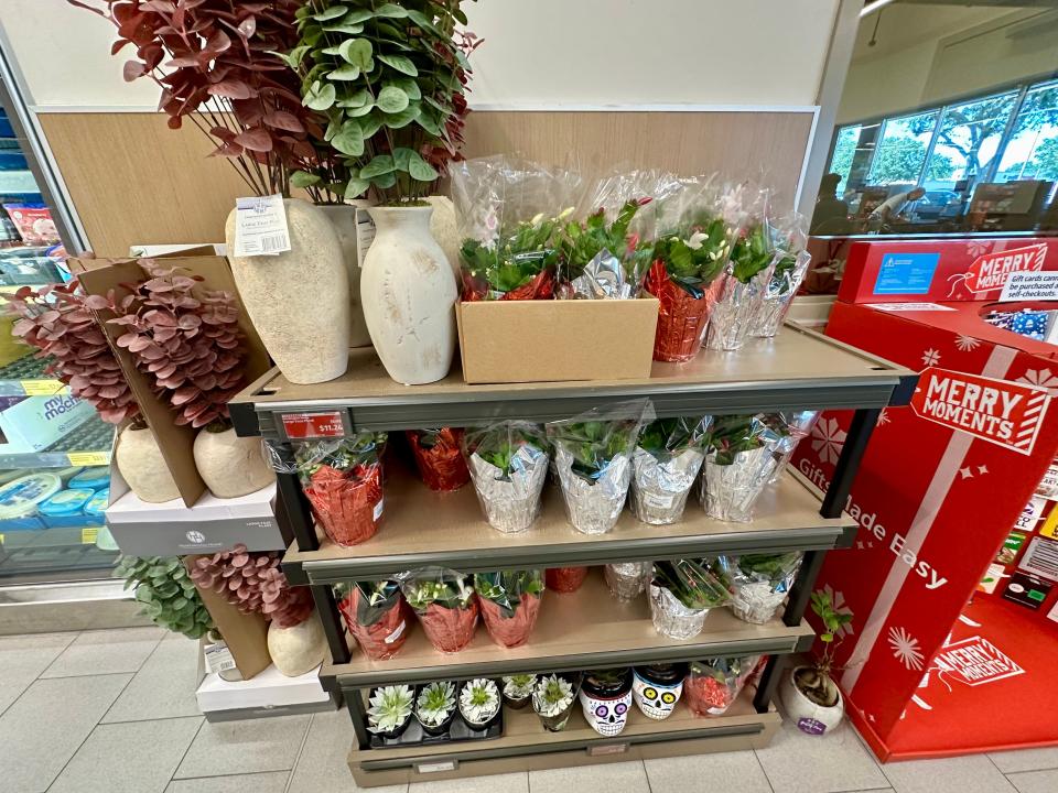 christmas flowers for sale at aldi