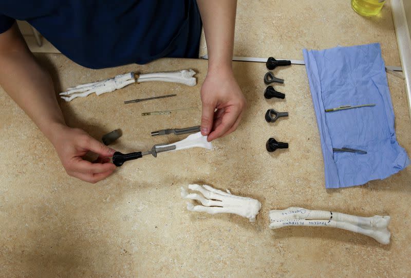 Veterinarian Sergei Gorshkov shows a 3D-printed prosthetic paw at the veterinarian clinic in Novosibirsk