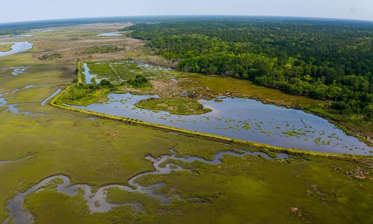 One of the largest undeveloped waterfront properties in South Carolina will stay that way after being purchased for $35 million by a conservation group.