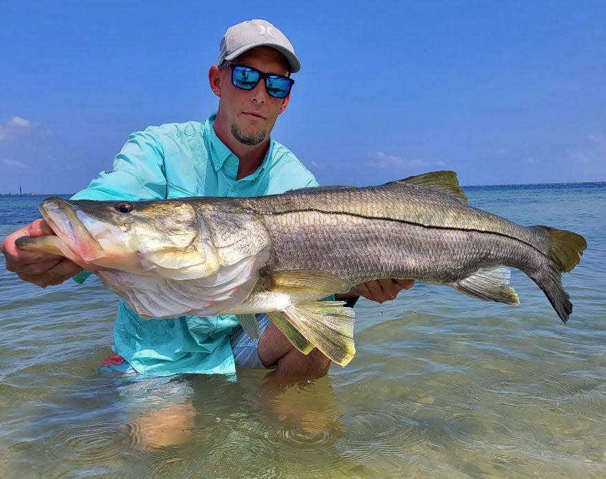 David Hill of Tampa Bay caught this 41-inch snook on a live ladyfish while fishing upper Tampa Bay this week. 