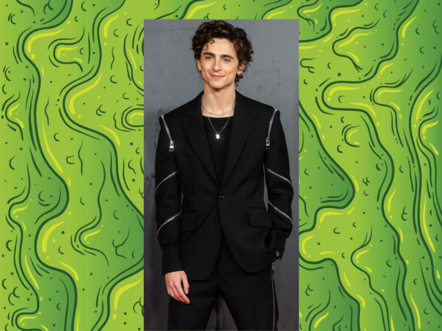 Timothée Chalamet — I hope he never stops wearing fan gifts, ever