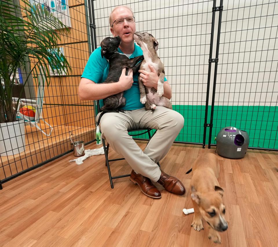 Adam Leath holds a couple of puppies inside the Volusia Mall where Halifax Humane Society opened an adoption center in July. Leath joined the nonprofit as chief executive officer in May.