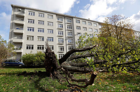 A fallen tree uprooted by strong winds lies in front of a building in Prague, Czech Republic October 29, 2017. REUTERS/David W Cerny