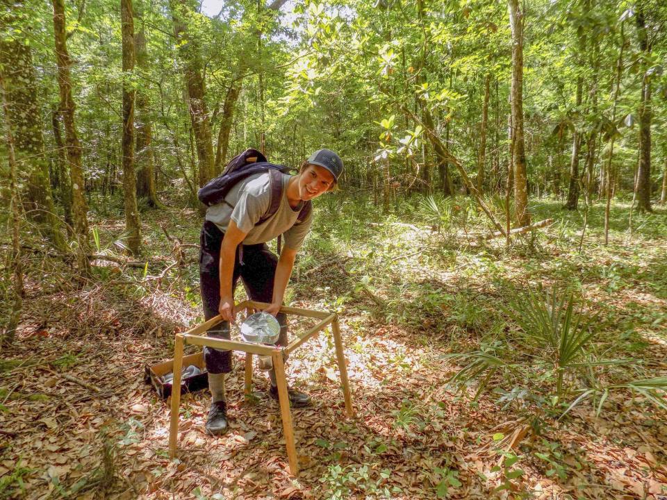 Michael Belitz constructed funnels to collect caterpillar poop, which he elevated on a wooden frame to protect it during floods.