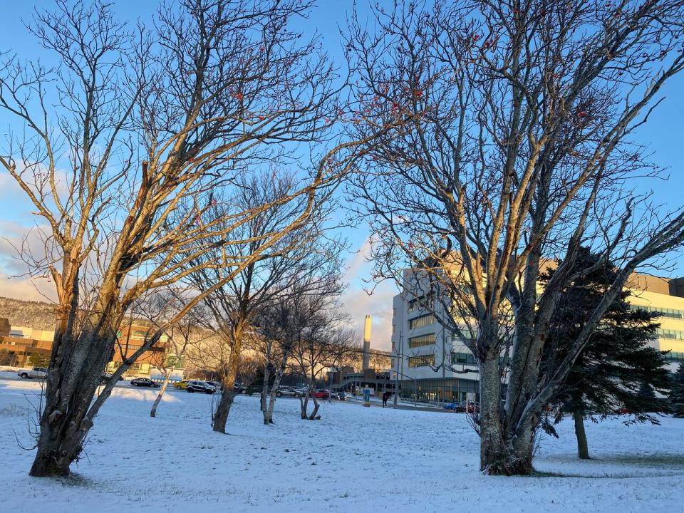 Much less snow fell Wednesday in St. John's than Environment Canada had forecast. 