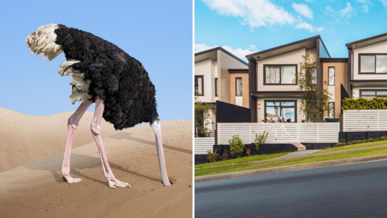 Ostrich burying head in the sand on the left and a row of houses on the right.