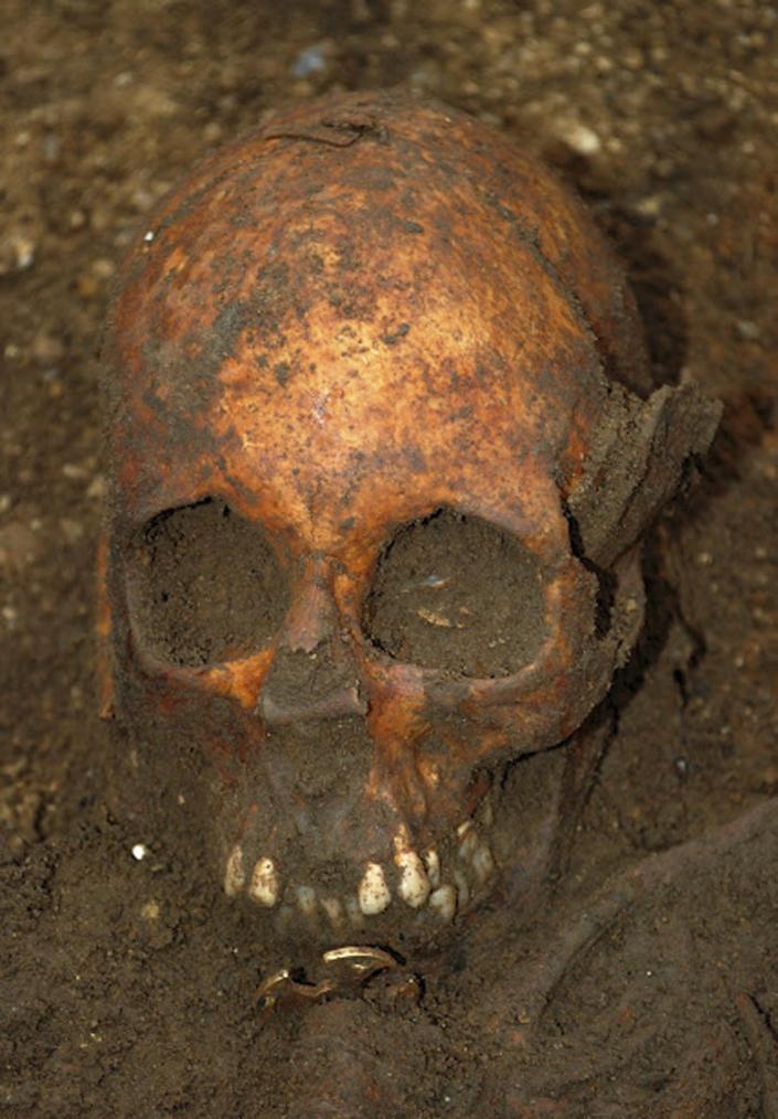 In this undated image made available by the University of Cambridge in England early Friday, March 16, 2012, showing a buried skull. Archaeologists excavating near Cambridge have stumbled upon a rare and mysterious find, the skeleton of a 7th-Century teenager buried in an ornamental bed along with a gold-and-garnet cross, an iron knife and a purse of glass beads. There is very little known about this funerary practice, which one archaeologist, Alison Dickens, said would open a window of knowledge into the transitional period when the pagan Anglo-Saxons were gradually adopting Christianity. (AP Photo/University of Cambridge)