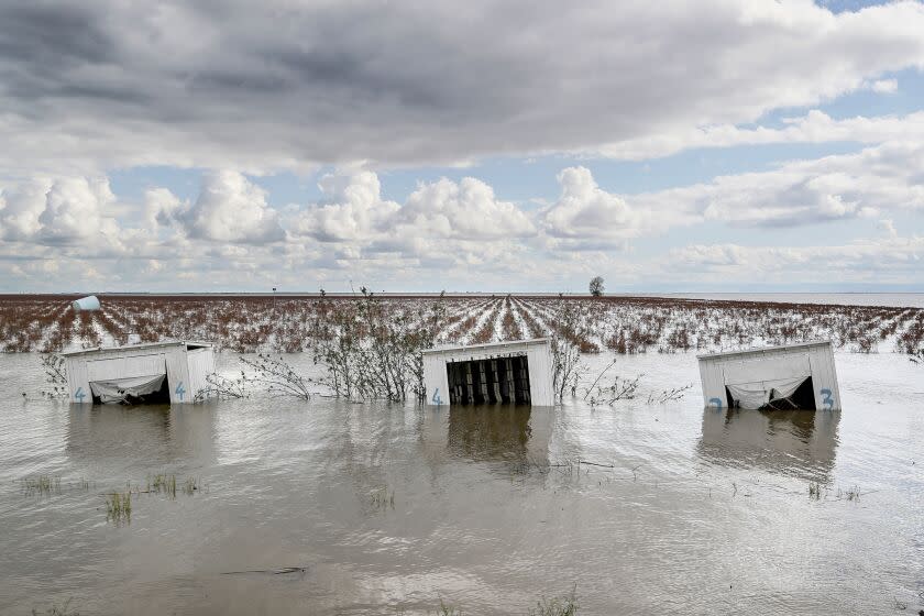 Corcoran, CA, Thursday, March 30, 2023 - Bee sheds and farmland are flooded just South of Tulare River Rd. Near as the resurgence of Tulare Lake continues. (Robert Gauthier/Los Angeles Times)