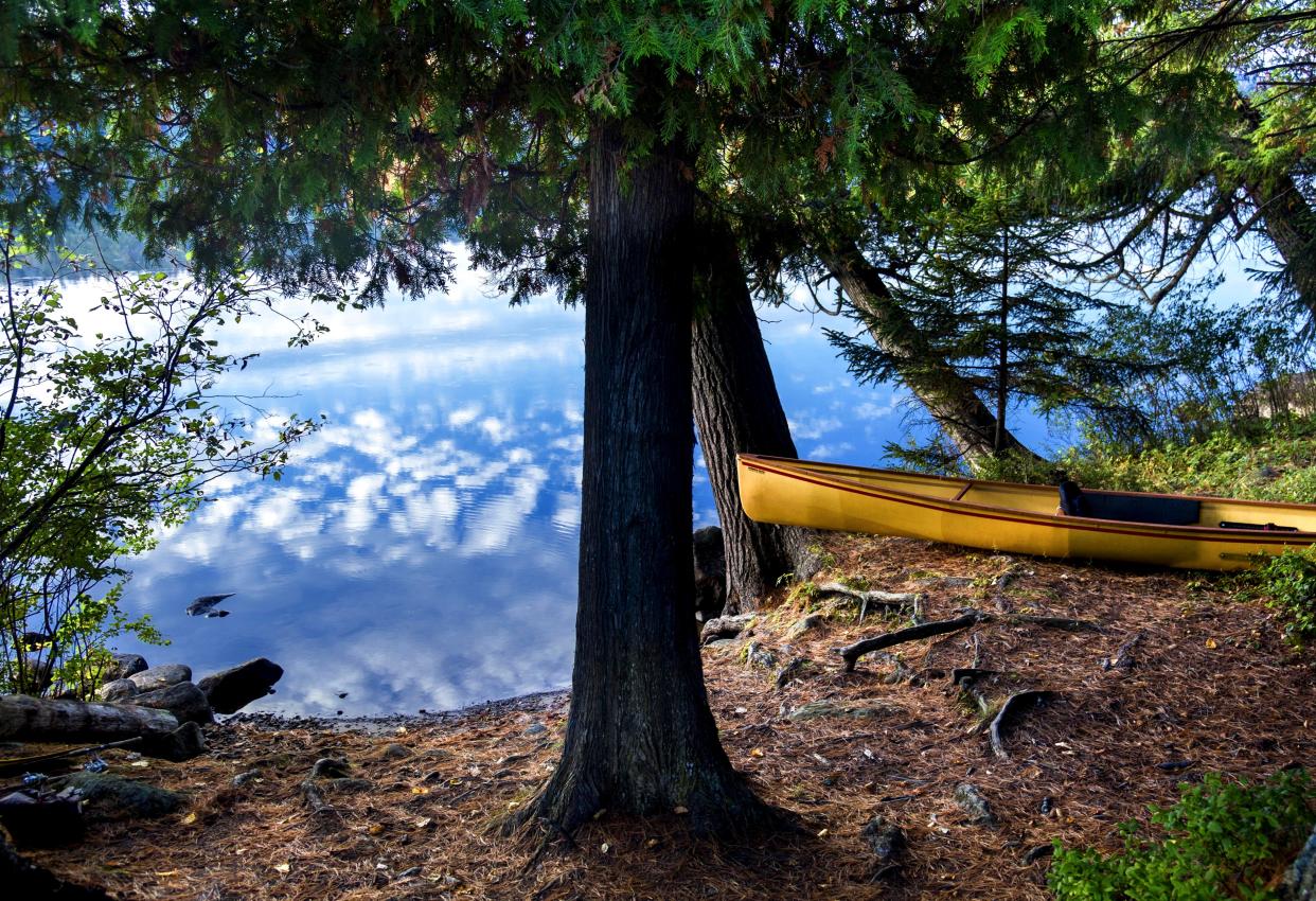 See Peter Blackwood works such as "Sky Paddle" at an exhibition at the Wood Library in Canandaigua.