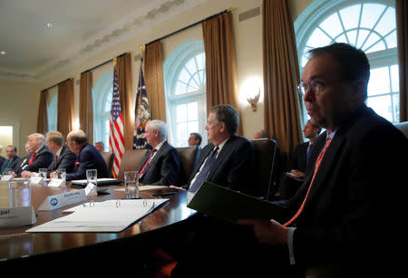 Acting White House chief of staff Mick Mulvaney attends a Cabinet meeting on day 12 of the partial U.S. government shutdown at the White House in Washington, U.S., January 2, 2019. REUTERS/Jim Young