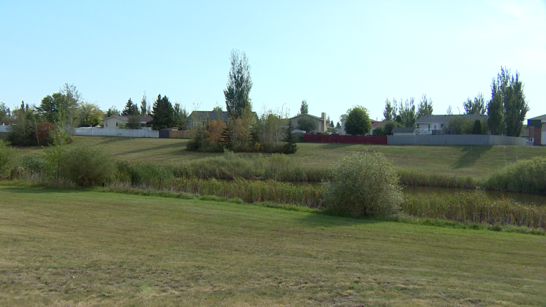 Mayor Charlie Clark heard concerns about Dundonald pond as councillor but can't confirm they related to safety