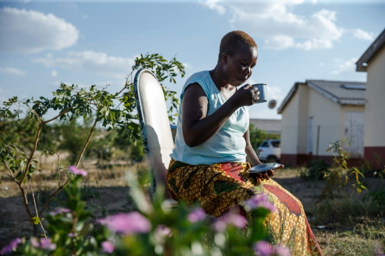 With medicine prices soaring, Alice Chenyika, 50, drinks herbal tea to control her blood pressure