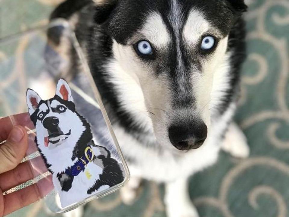 custom pet phone case